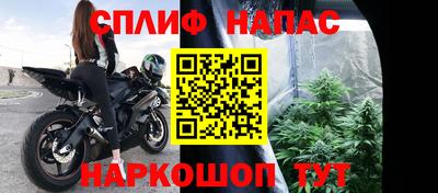 крисы Краснодар