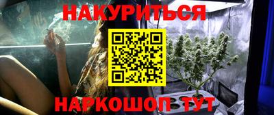 крисы Краснодар